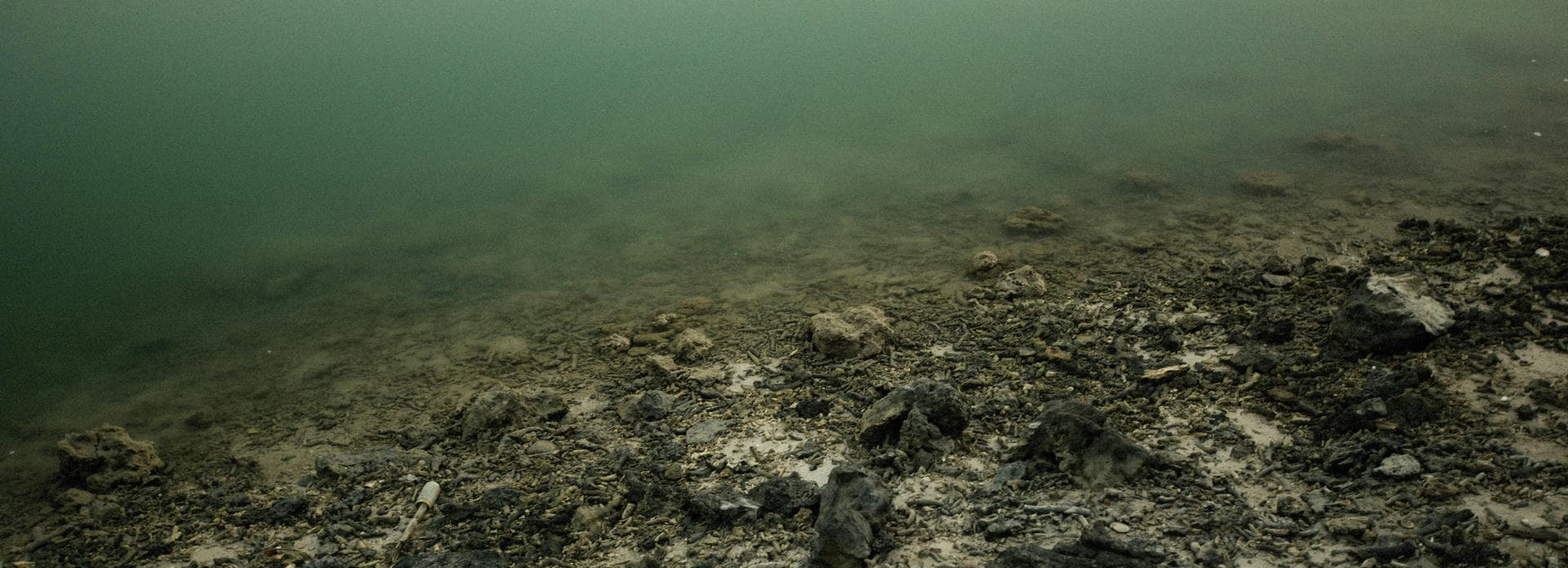 The Silent Threat Beneath the Surface: Chemical Pollution in the Caribbean and Why It Demands Immediate Global Action