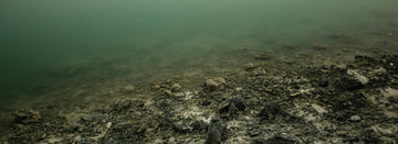 The Silent Threat Beneath the Surface: Chemical Pollution in the Caribbean and Why It Demands Immediate Global Action